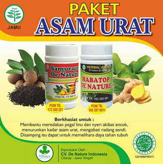 Illustration for article titled Obat Asam Urat Herbal